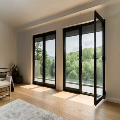 Porta oscillante in alluminio per lavori pesanti Rottura termica Facile manutenzione