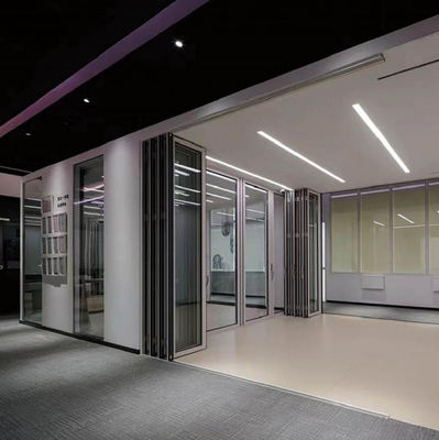 Rivestimento in polvere porte in vetro bifold resistenti ai tifoni per uso esterno