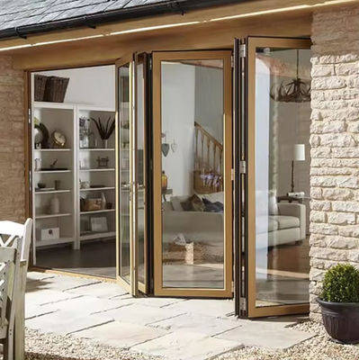 Rivestimento in polvere porte in vetro bifold resistenti ai tifoni per uso esterno