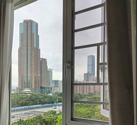 Finestrino d'alluminio a doppio vetro