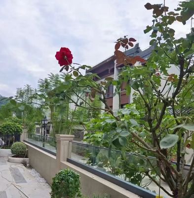 Barricata di vetro in alluminio flessibile a canale U